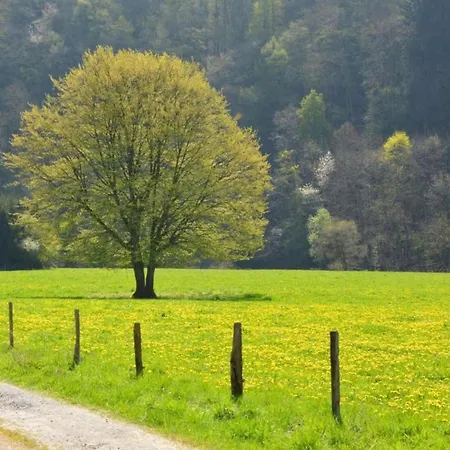 Cozy In Lesterny Near 別荘 ナソーニュ