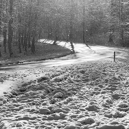 Cozy In Lesterny Near 別荘