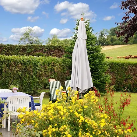 Cozy In Lesterny Near Tatil Evi Nassogne